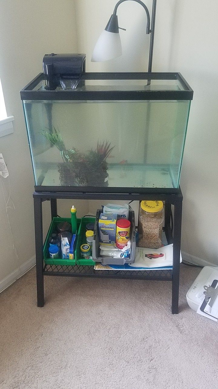 20 Gallon Fish Tank with 27" Stand