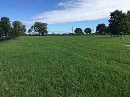ISO of Pasture or Land to Bale