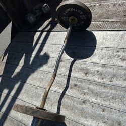 Curl Bar With Pair Of 25lbs Olympic Size Weight Plates