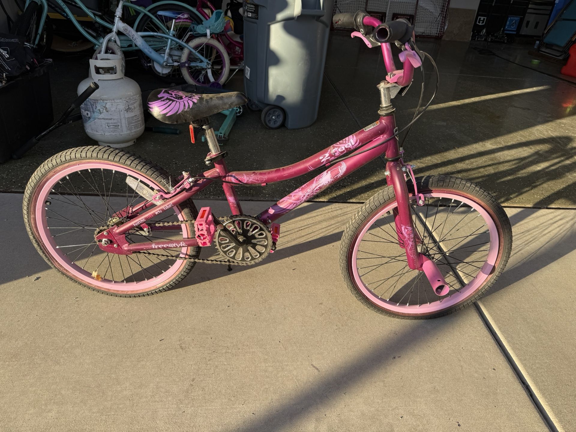 Girls Purple 20 Inch Bike