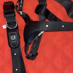 YOULY The Extrovert LED Dog Harness,L XL  $25 obo 