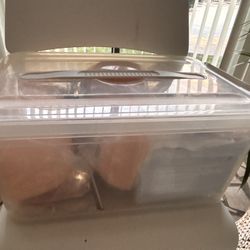 Lash Extensions Practice/Training Kit  