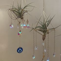 Suncatchers/air plant holder