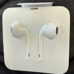 Apple Earbuds 