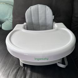 Ingenuity Booster Seat