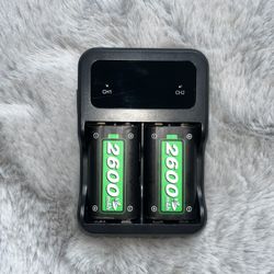 2600 mAh Dual Channel Charger 
