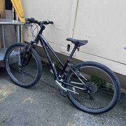 TREK Skye Mountain Bike