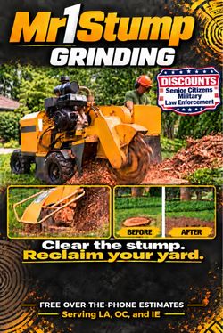 Tree Stump Grinding