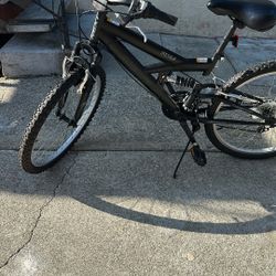 Next Px 4.0 Bike And  Schwind Bike