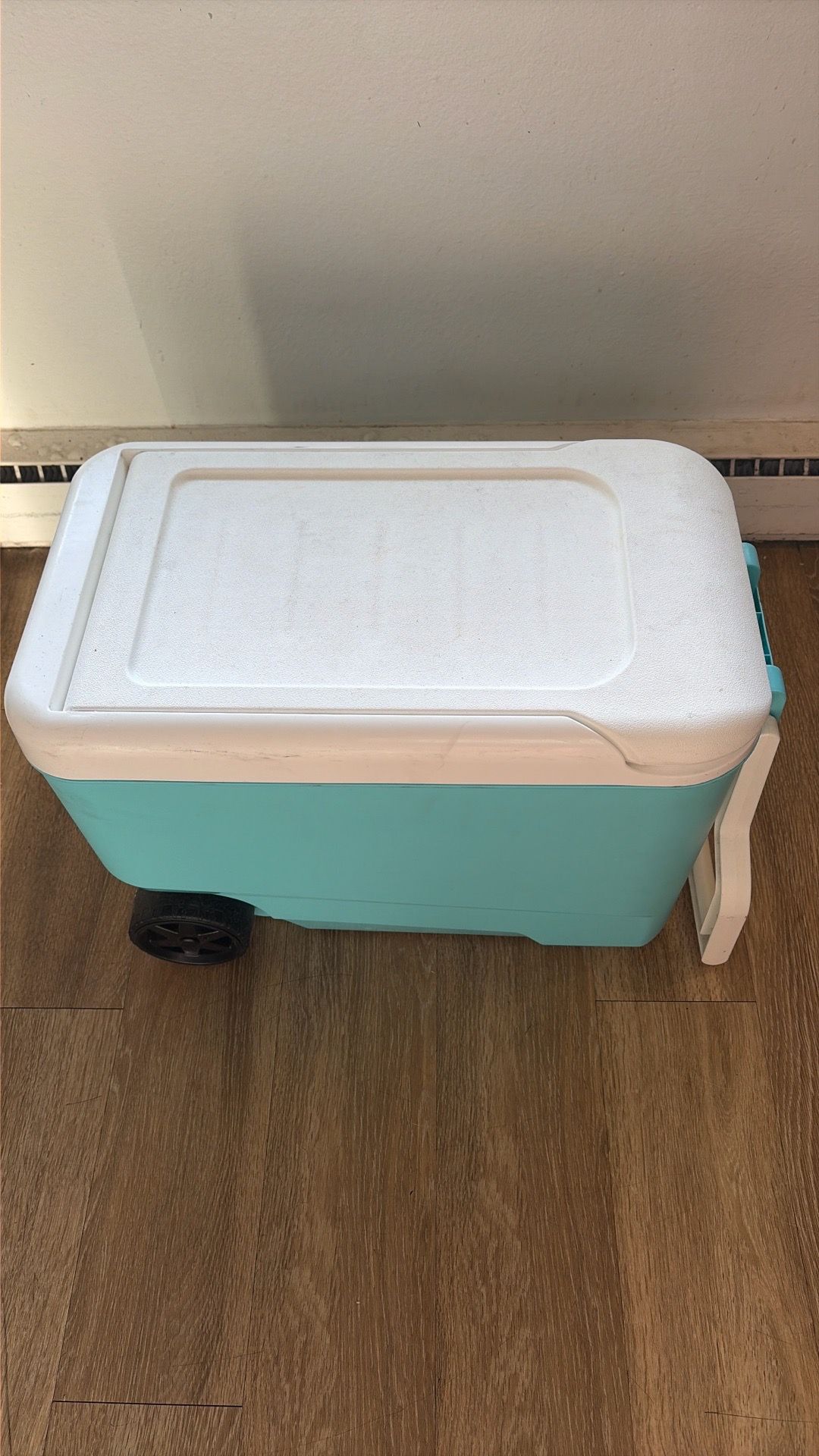 Igloo cooler