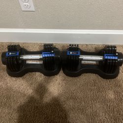 Adjustable Dumbbell set