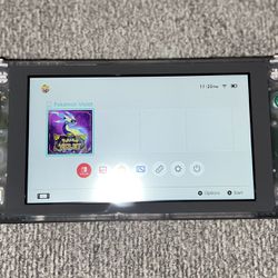 Nintendo Switch lite (Shell Swapped)