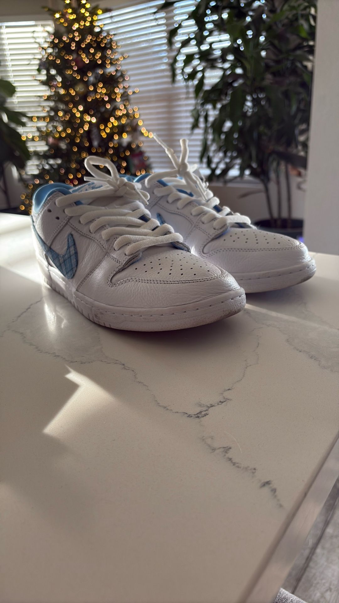 Nichole Hause Sb Dunks Size 11