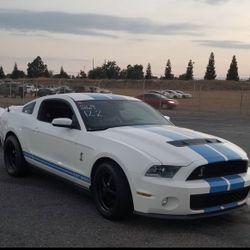 2010 Ford Shelby Gt500