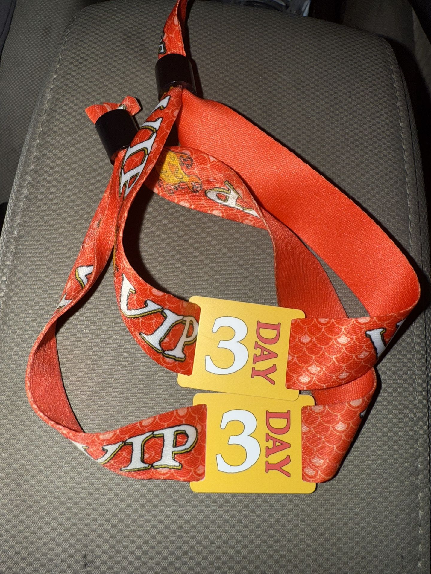 SummerSmash 2025 (SUNDAY ONLY VIP) $250 EACH