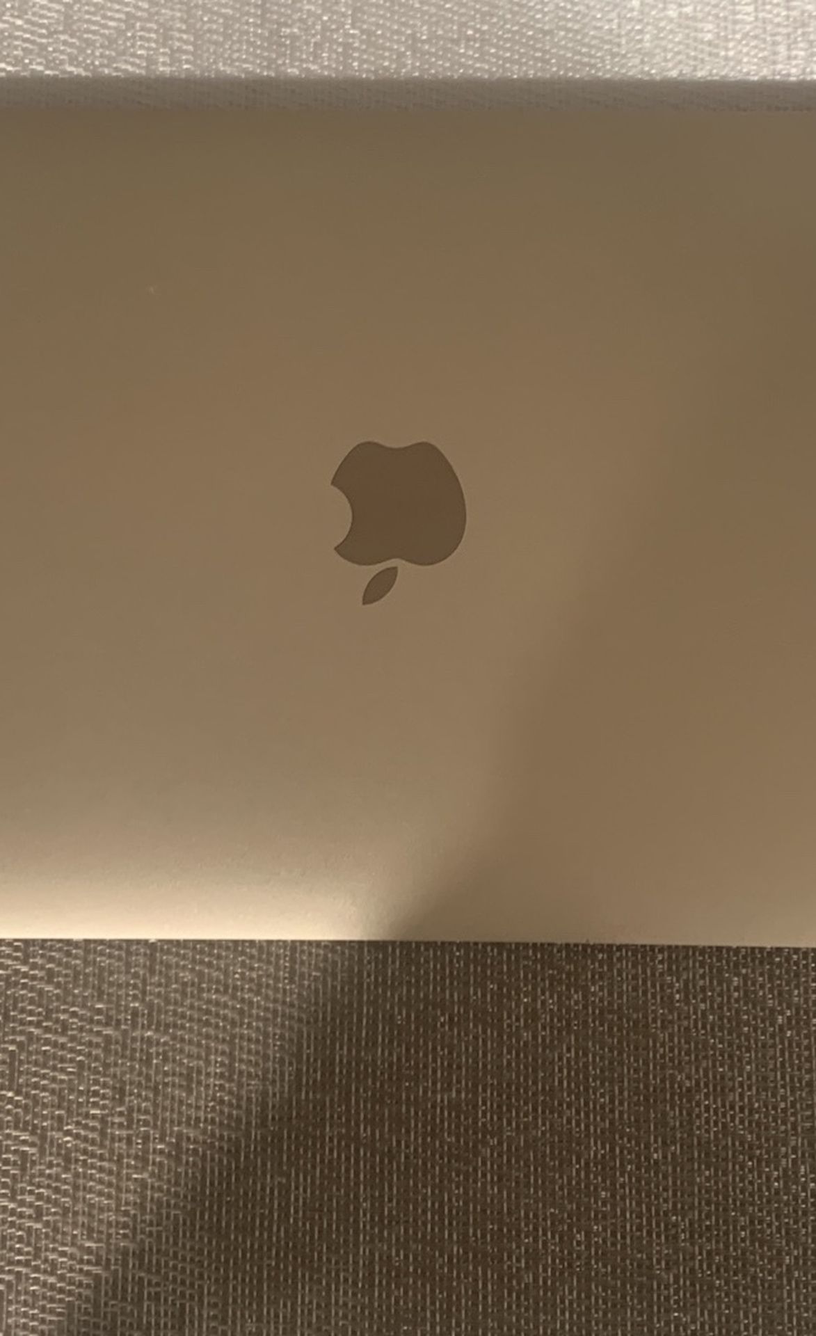 Apple Macbook (2015)
