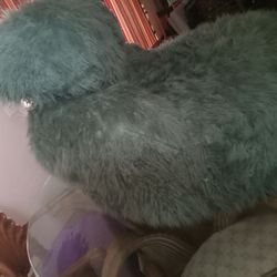 Furry bean bag......