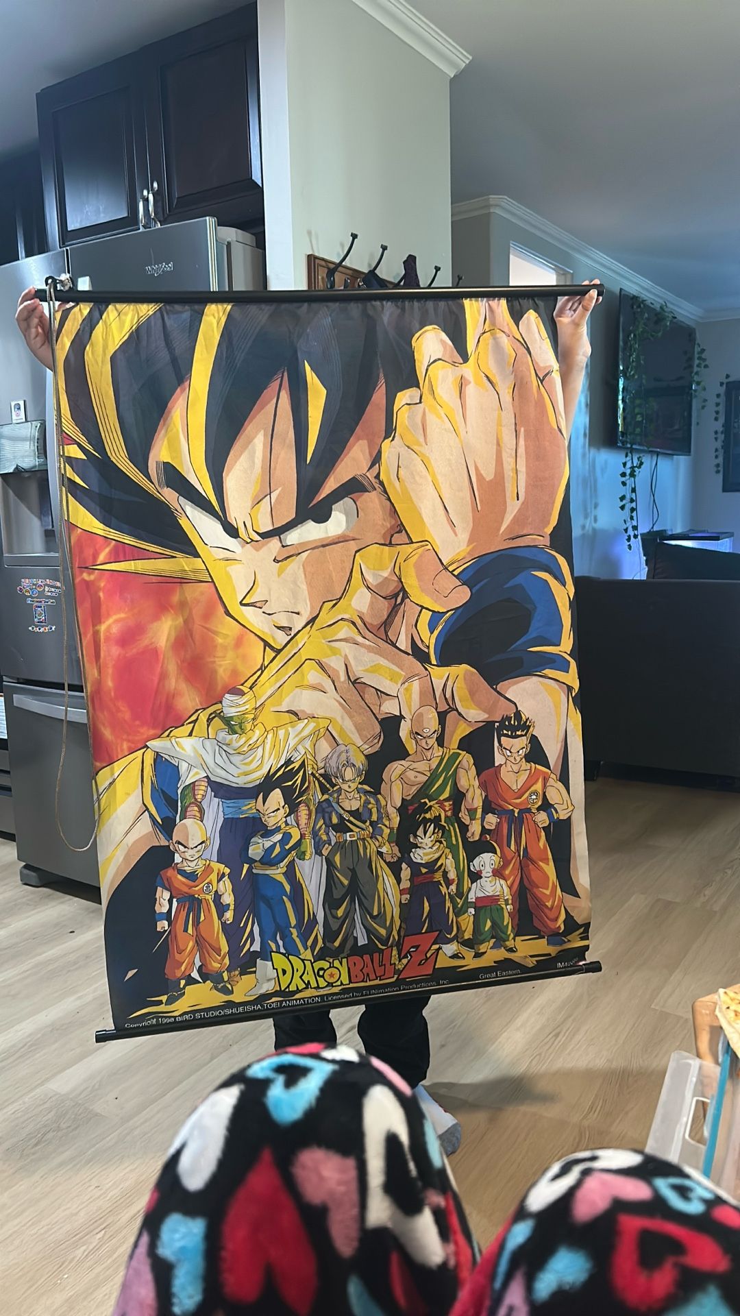 DBZ Poster