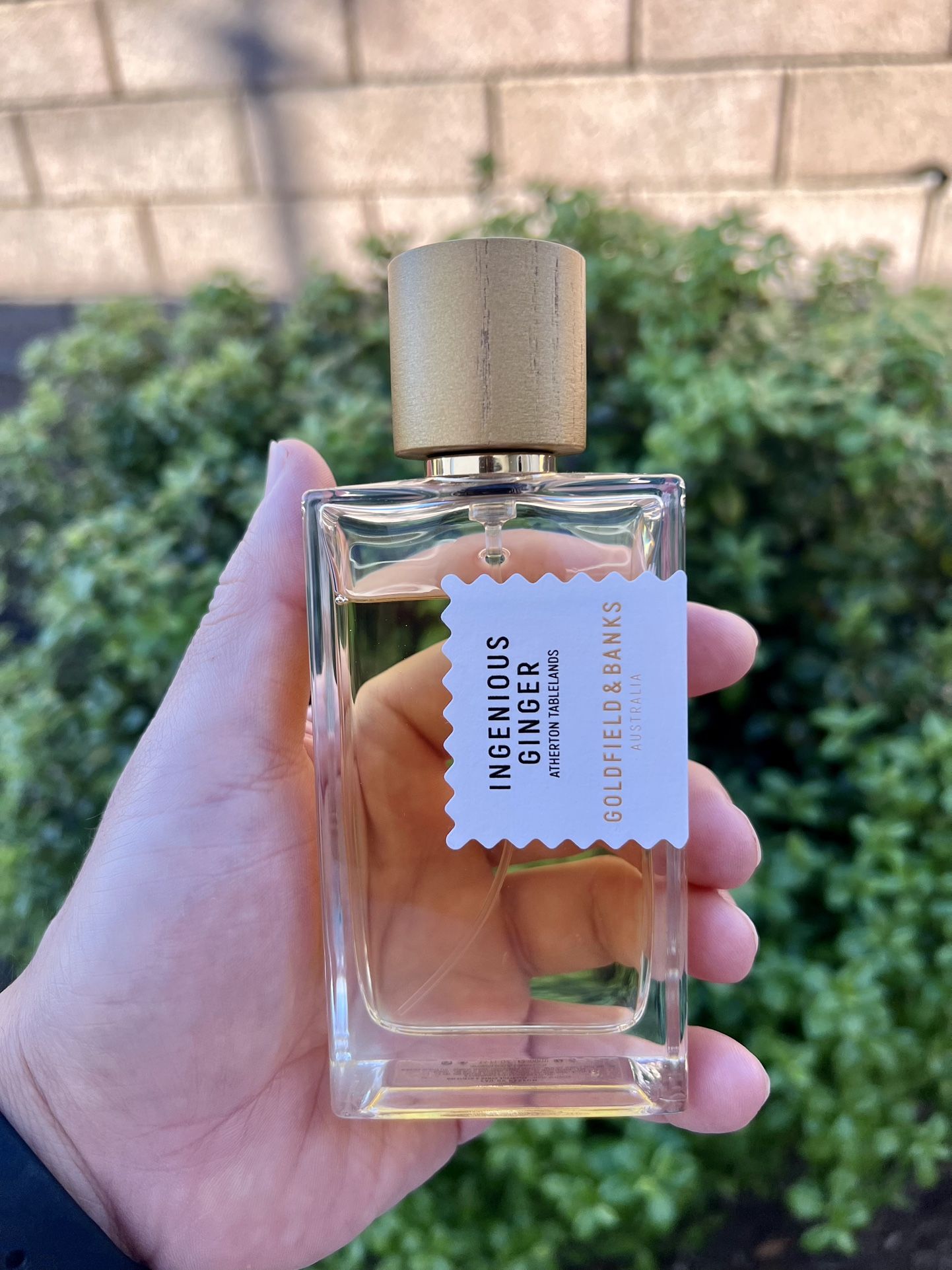 Ingenious Ginger - Goldfield & Banks