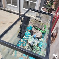 10 Gallon Tank