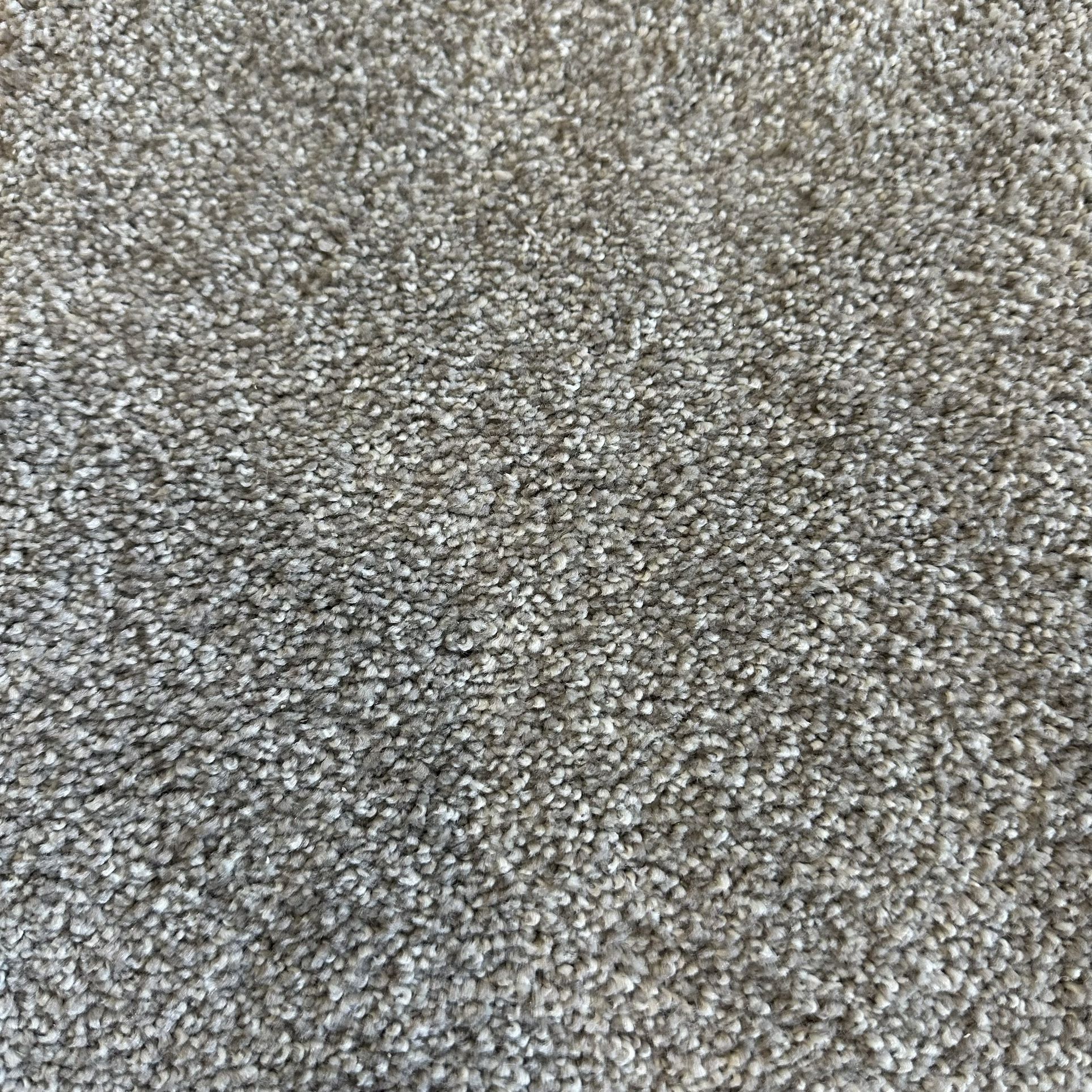 Shaw Nylon Carpet
