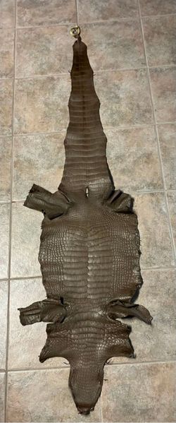 Premium Natural Alligator Pelt