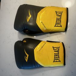 Everlast Boxing Gloves