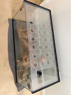 reptile tank