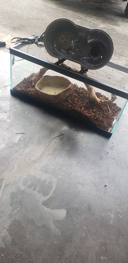 Reptile Cage Plus More