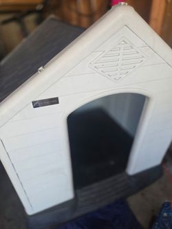 Dog House