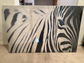 Zebra print canvas