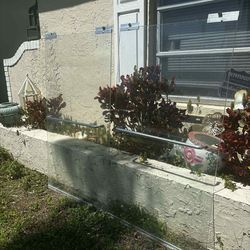 Glass Tub Doors 29.5”Lx54”H