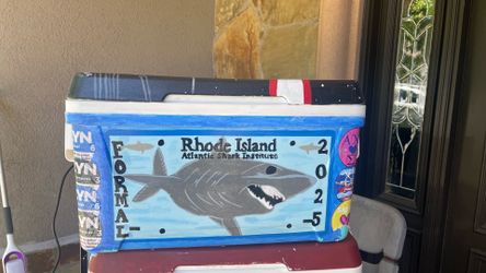 Ice cooler