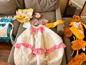 Beauty and the beast costume