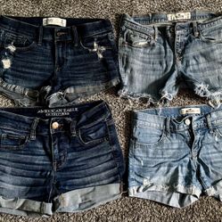 Junior Shorts
