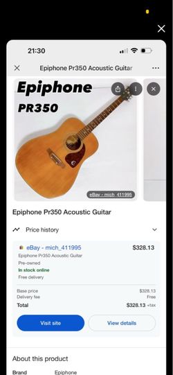 Guitar in the case