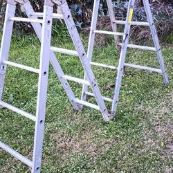 Folding Ladder