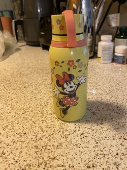 DISNEY PARK MINNIE MOUSE TERMUZ