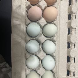 Yard Eggs