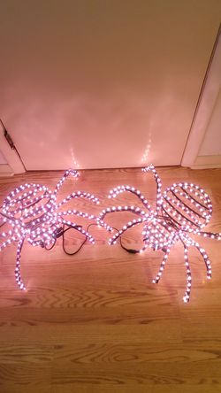 🕸Halloween Light up Spider's 🕷