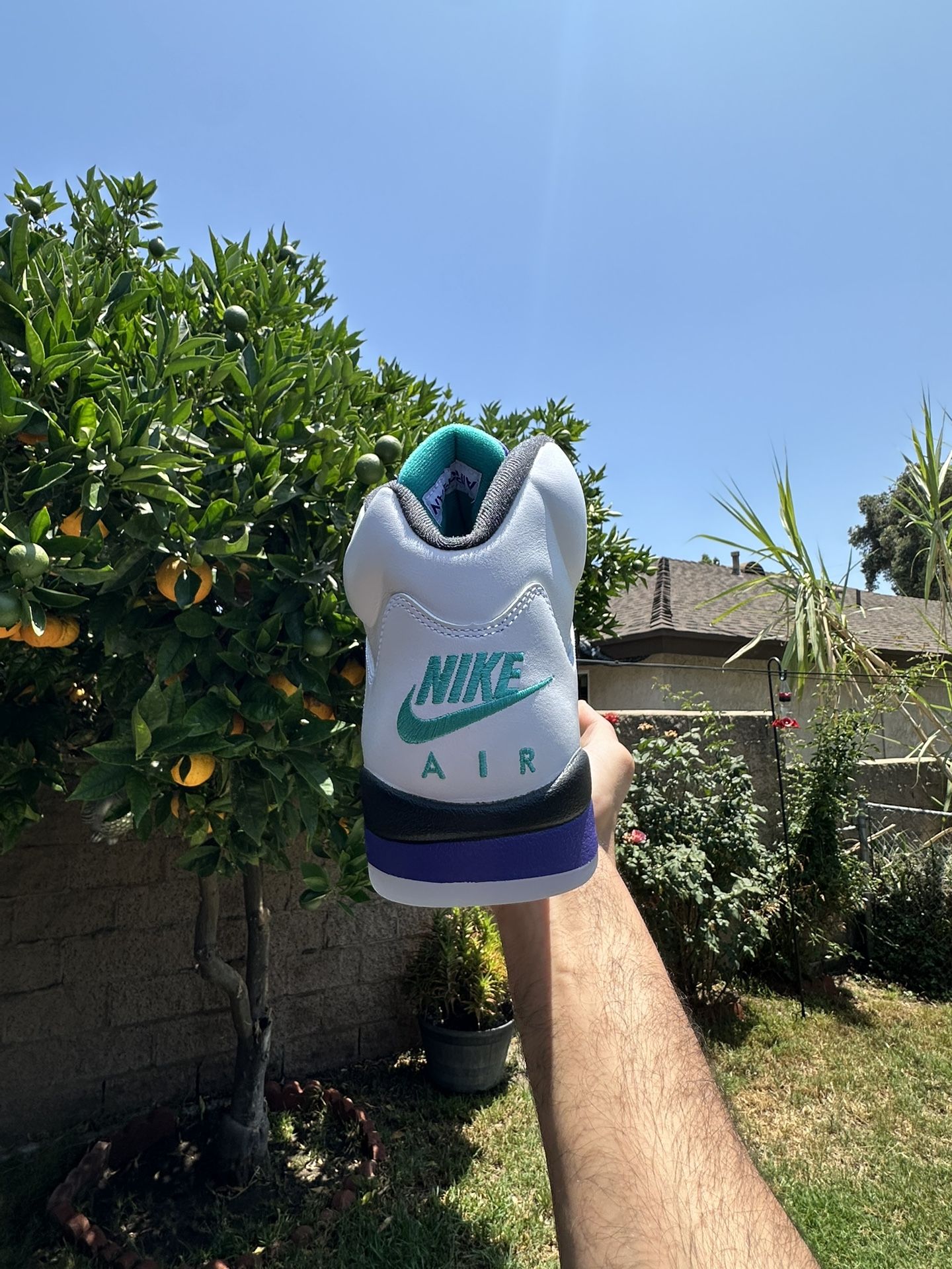 Jordan 5 Grape 