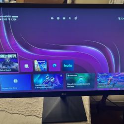 LG 24in Monitor 
