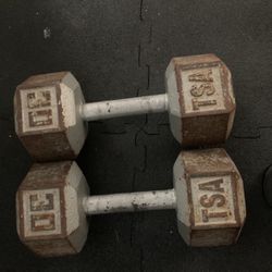 30lb Dumbbells 