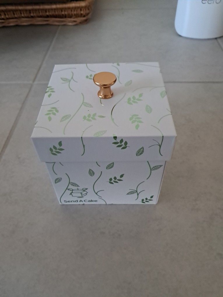 Singing Musical Birthday Box