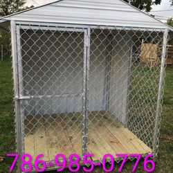 Dog Kennels Florida 🐕