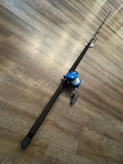‼️Avet HXW 5/2 Raptor. Phenix Axis X 3 60-130 New. Salt water fishing combo.