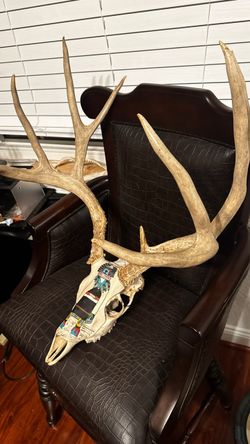 Unique Taxidermy 😻Hand-Painted Deer🦌 Skull with Antlers