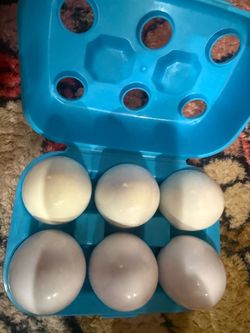 Learning eggs