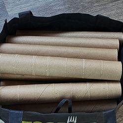 Paper Towels Tubes for crafting 