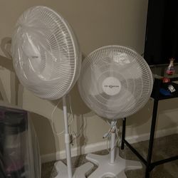 Adjustable Oscillating Fans